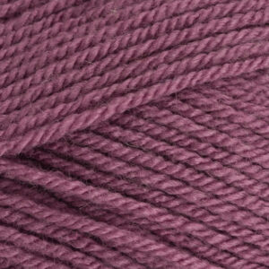 Stylecraft Special DK Yarn 100g - Grape (1067)